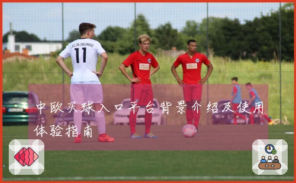 中欧买球入口平台背景介绍及使用体验指南