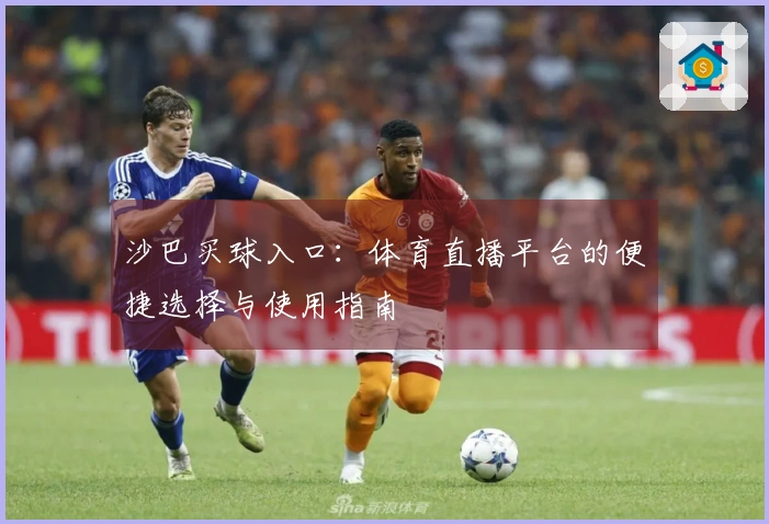 沙巴买球入口：体育直播平台的便捷选择与使用指南