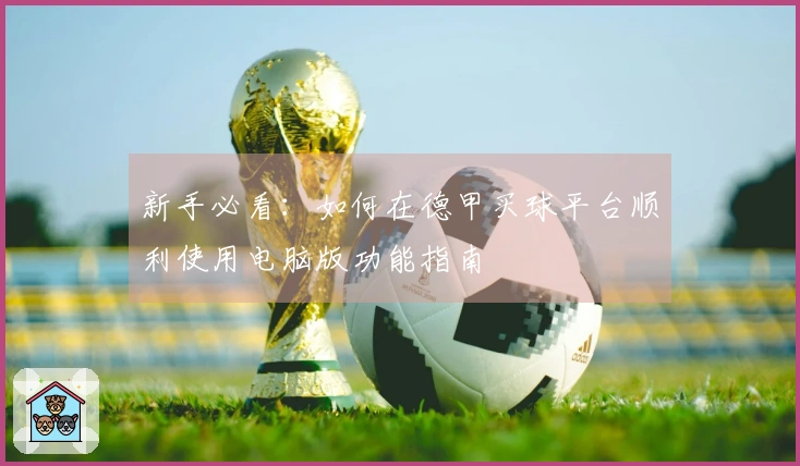 新手必看：如何在德甲买球平台顺利使用电脑版功能指南