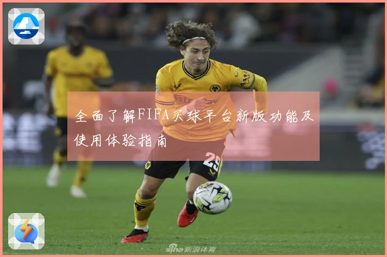 全面了解FIFA买球平台新版功能及使用体验指南