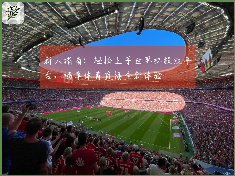 新人指南：轻松上手世界杯投注平台，畅享体育直播全新体验