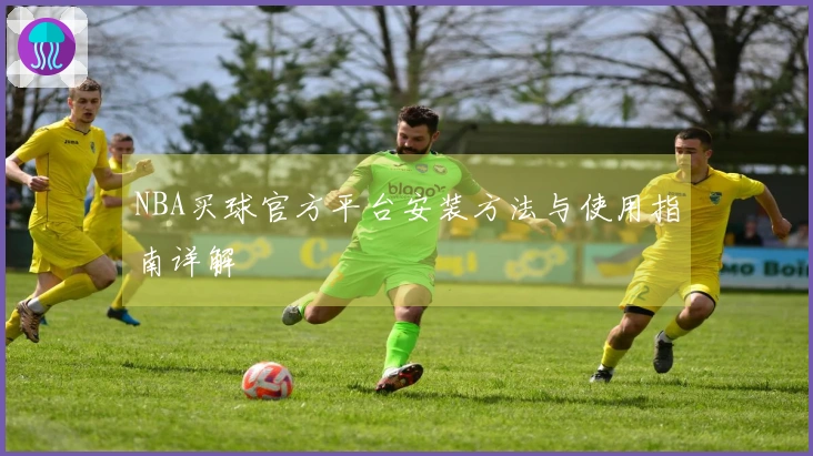 NBA买球官方平台安装方法与使用指南详解
