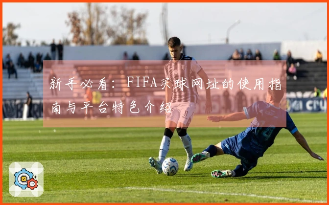 新手必看：FIFA买球网址的使用指南与平台特色介绍