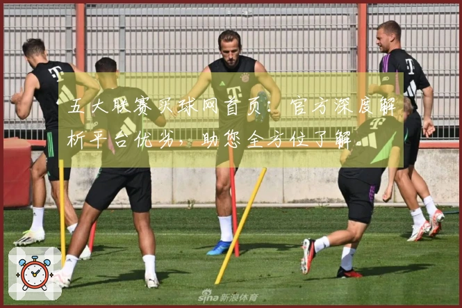 五大联赛买球网首页：官方深度解析平台优劣，助您全方位了解。